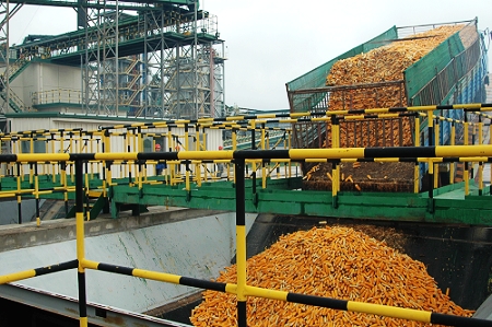 敦煌種業(yè)先鋒良種有限公司酒泉種子加工廠三、四期工程竣工投產(chǎn)